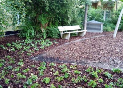 Sitzbank im gepflegten Gartenbereich