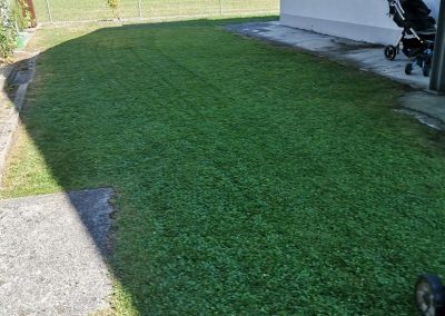 Frisch gemähter Rasen am Wohnhaus